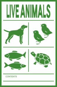 Live-Animals-Label-100x150mm