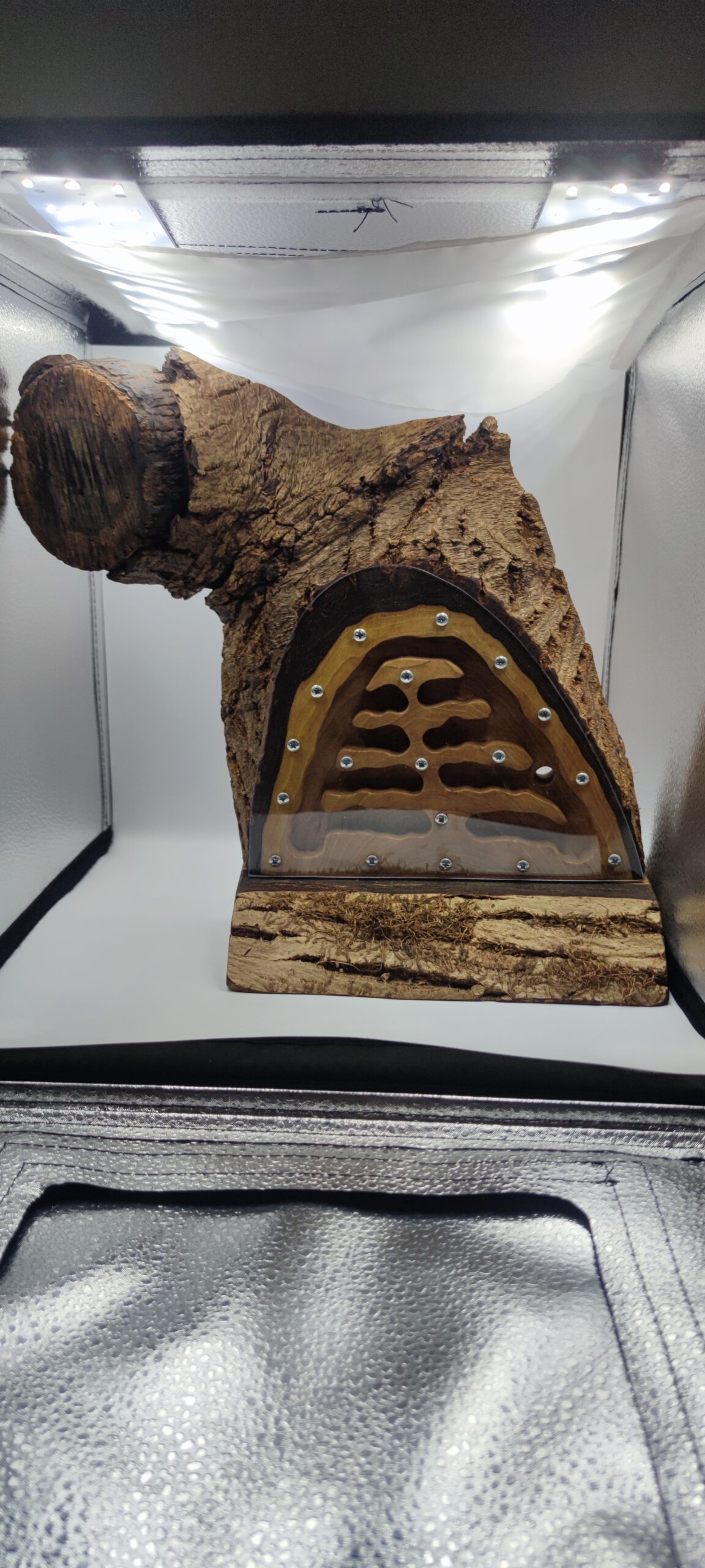 Wooden nest – walnut 24