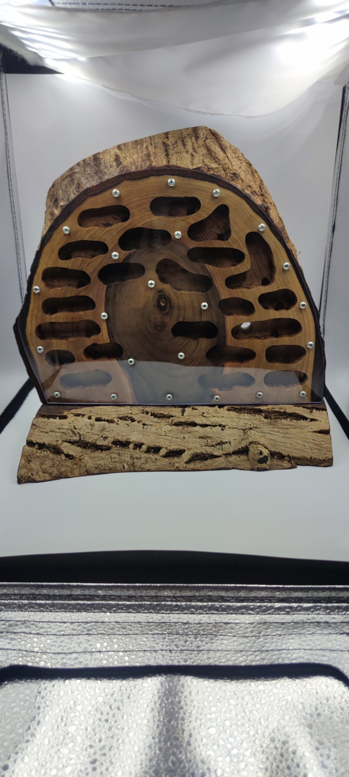 Wooden nest – walnut 28