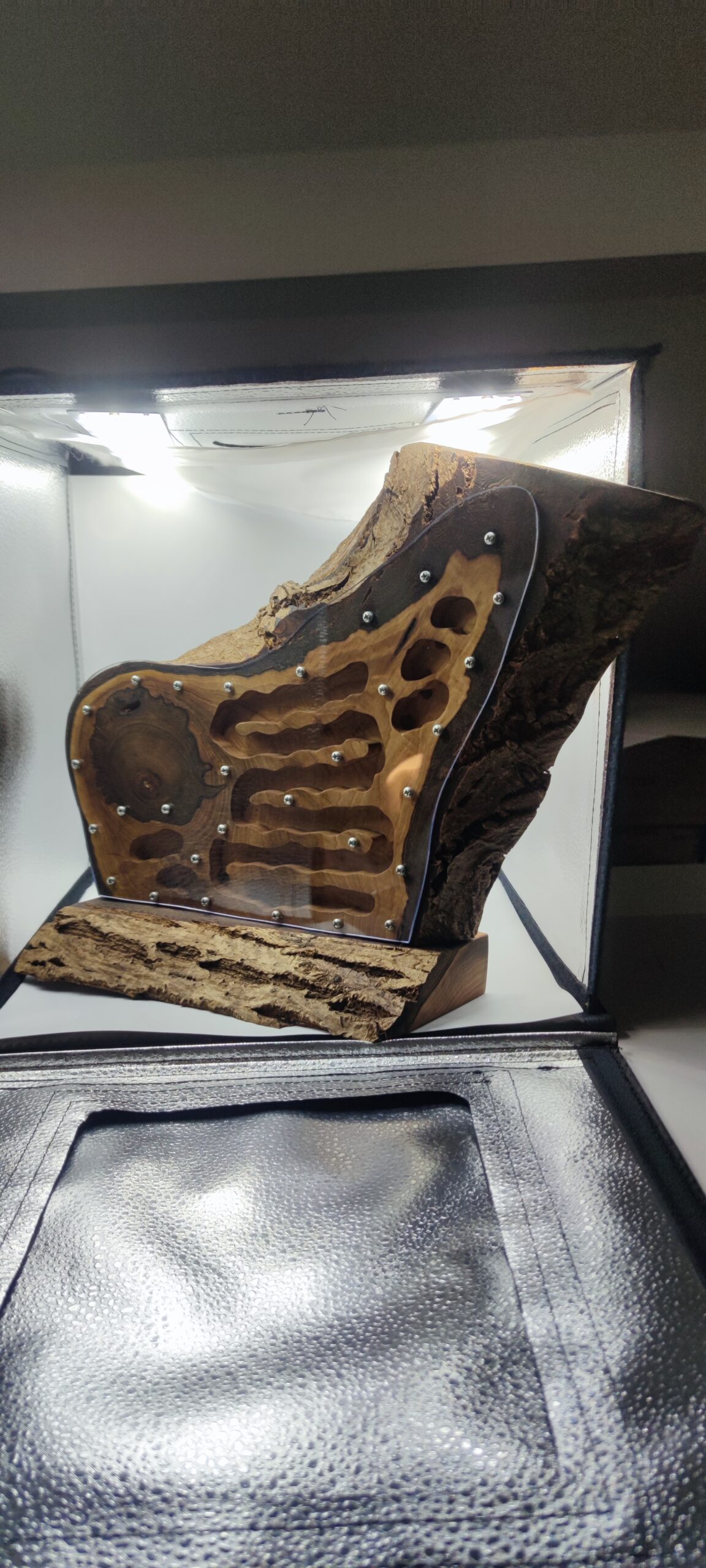 Wooden nest – walnut 29