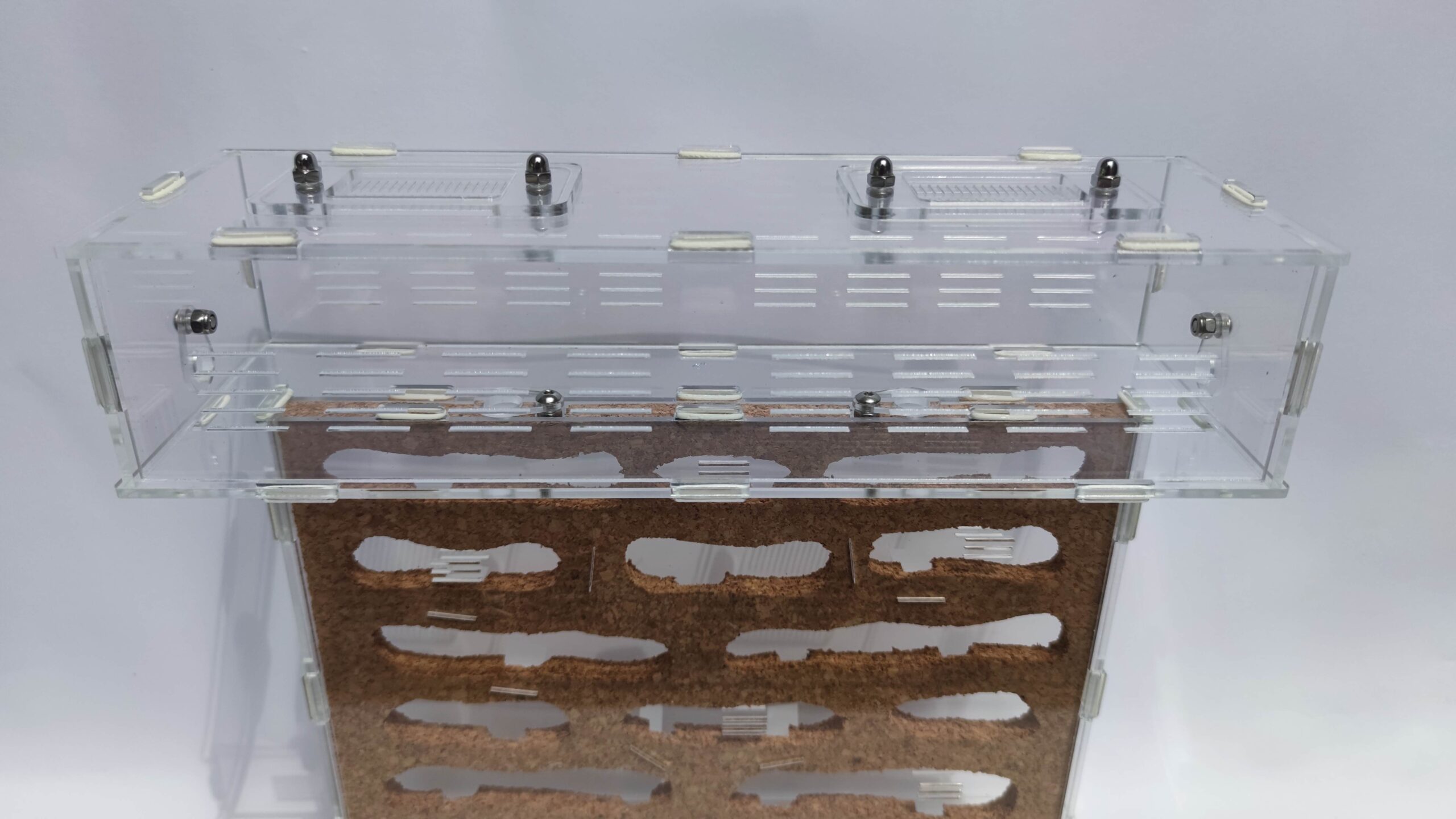 Cork formicarium “T” XL – nest with arena - Image 2