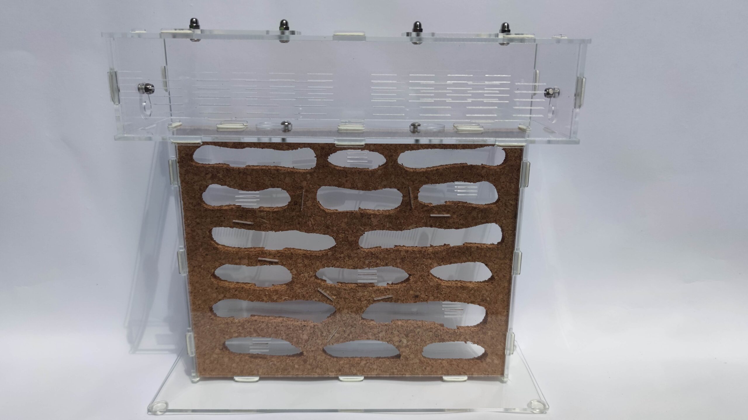 Cork formicarium “T” XL – nest with arena